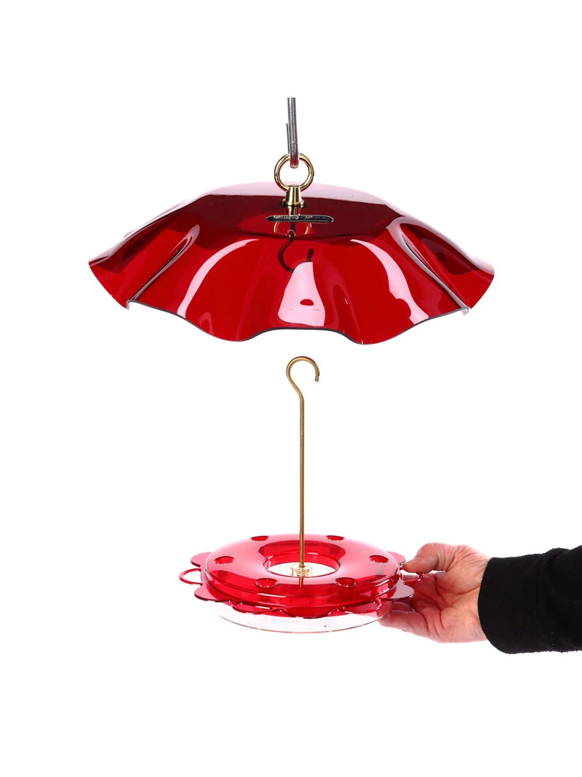 Birds Choice™ Hummingbird Nectar Feeder With Weather Guard Kit 4 Birds Choice™ Hummingbird Nectar Feeder With Weather Guard Kit - Image 2