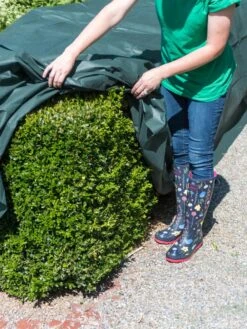 The Planket® Frost Protection Plant Cover, 10' X 20' -Garden Supply Store 8599101 0929 tif