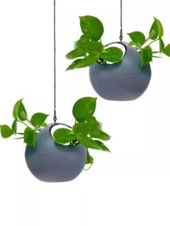 Exaco Euro Hanging Planters, Set Of 2 -Garden Supply Store 8599179 04V tif
