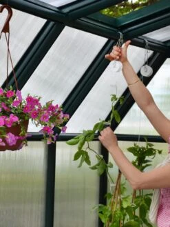 Canopia® By Palram Hobby Gardener Greenhouse, 8' -Garden Supply Store 8599331 04V tif