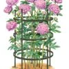 Titan Peony Supports, Large, Set Of 2 -Garden Supply Store 8599857 0001 art tif