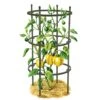 Titan Pepper Eggplant Cages, Set Of 3 1 Titan Pepper Eggplant Cages, Set Of 3 -Garden Supply Store 8599859 0001 art tif