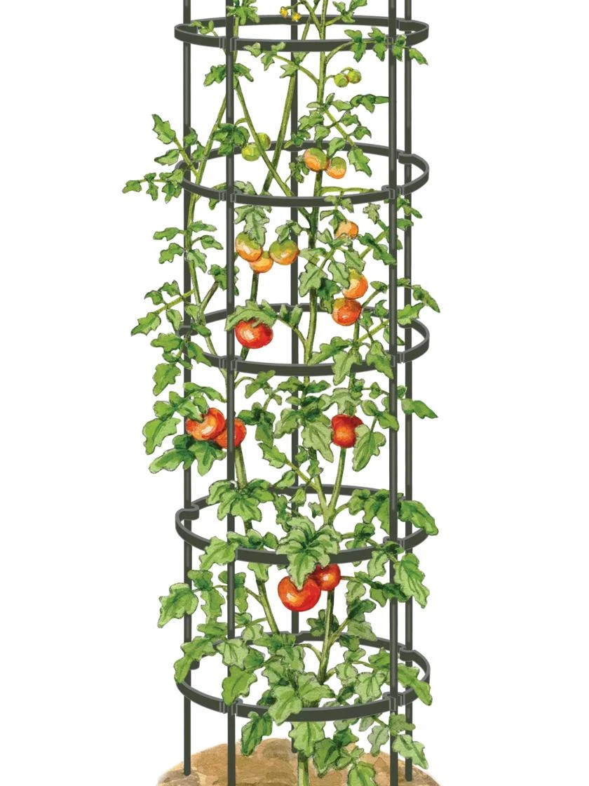 Titan Tall Tomato Cages, Set Of 3 7 Titan Tall Tomato Cages, Set Of 3 - Image 5