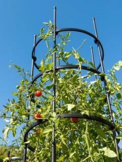 Titan Tall Tomato Cages, Set Of 3 10 Titan Tall Tomato Cages, Set Of 3 -Garden Supply Store 8599860 0066 tif