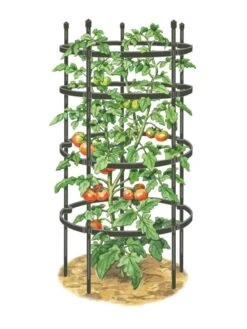 Titan Tomato Cages, Set Of 3 13 Titan Tomato Cages, Set Of 3 -Garden Supply Store 8599861 0001 art tif