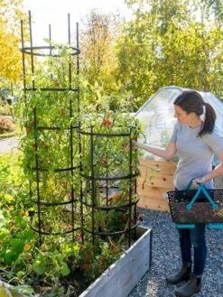 Titan Tomato Cages, Set Of 3 11 Titan Tomato Cages, Set Of 3 -Garden Supply Store 8599861 0114 tif