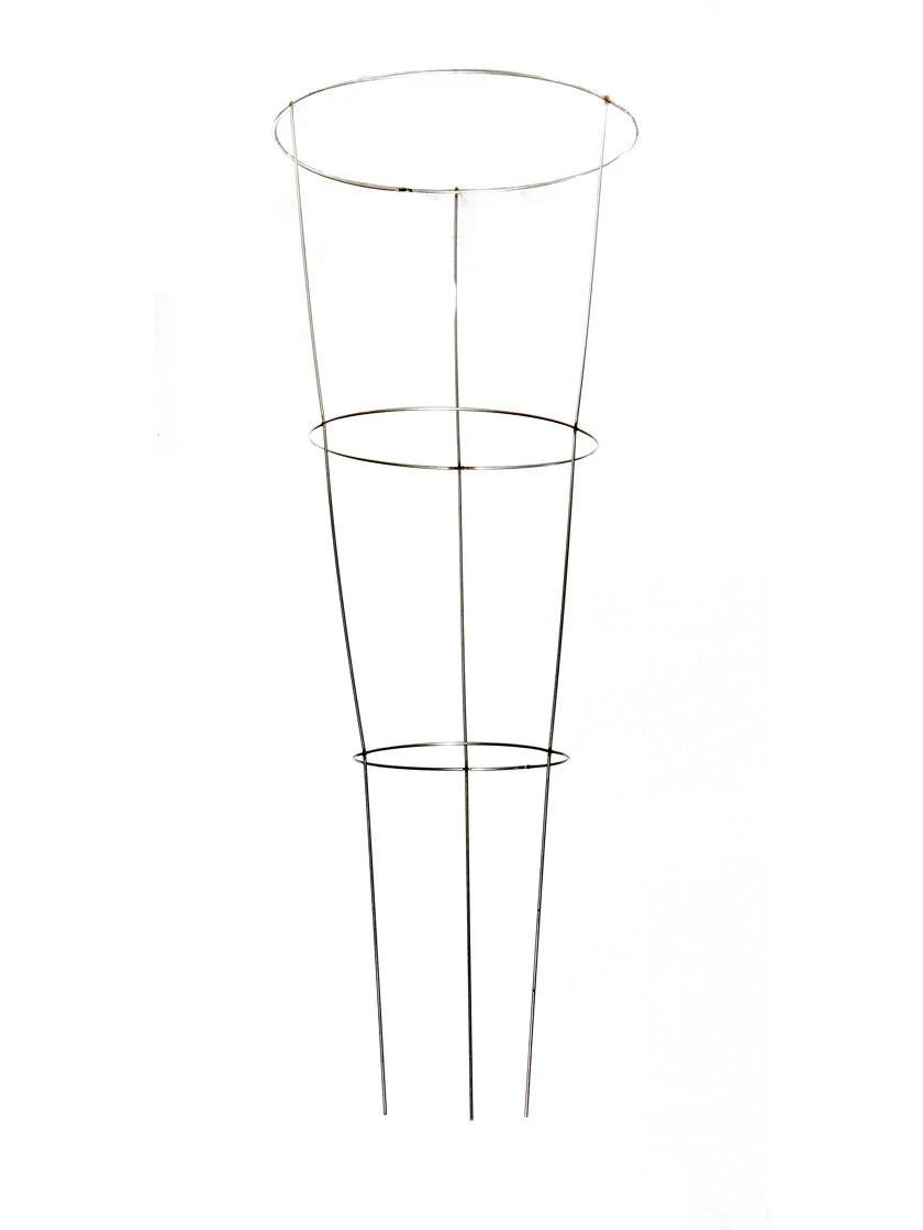 Heavy-Duty Galvanized Plant Supports 42", Set Of 5 3 Heavy-Duty Galvanized Plant Supports 42", Set Of 5