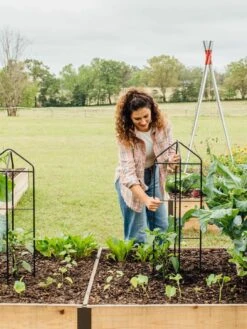 Zenith Folding Garden Supports, Set Of 2 17 Zenith Folding Garden Supports, Set Of 2 -Garden Supply Store 8600073 324 tif