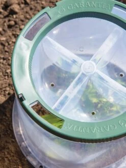 Sunny Forcing Cloches, Set Of 3 -Garden Supply Store 8600075 0742 tif