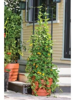 Vine Trellis For Gardener's Victory Self-Watering Planter With Support System -Garden Supply Store 8600175 0733 3 4