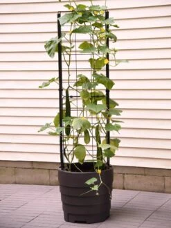 Gardener’s Victory Self-Watering Planter With Vine Trellis -Garden Supply Store 8600177 9876 tif