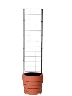 Gardener’s Victory Self-Watering Planter With Vine Trellis -Garden Supply Store 8600178 7000 tif