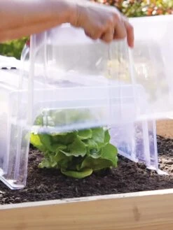 Cool Weather Row Cloche Ends, Set Of 2 -Garden Supply Store 8600266 0072 tif