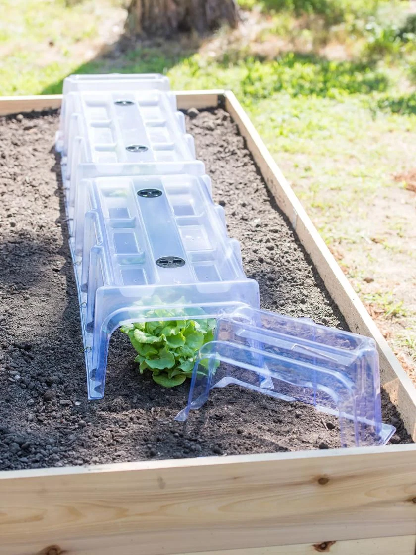 Cool Weather Row Cloches Set 4 Cool Weather Row Cloches Set - Image 2