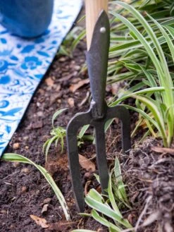 Gardener’s Lifetime Perennial Fork With Short T-Handle -Garden Supply Store 8600311 3434 tif