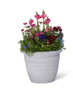 Cortina Self-Watering Planters 13 Cortina Self-Watering Planters -Garden Supply Store 8600316 19838 tif