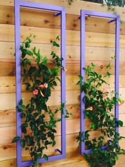 Ina Modern Wall Trellis Sr. 14 Ina Modern Wall Trellis Sr. -Garden Supply Store 8600510 07V tif