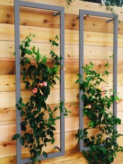 Ina Modern Wall Trellis Sr. 12 Ina Modern Wall Trellis Sr. -Garden Supply Store 8600510 08V jpg