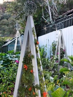 Akoris Garden Tuteur Jr. -Garden Supply Store 8600517 07V tif