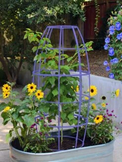 Toki Bubble Trellis -Garden Supply Store 8600520 02V tif