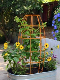 Toki Bubble Trellis -Garden Supply Store 8600520 03V tif