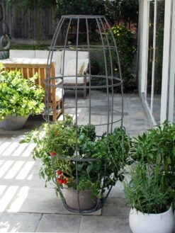 Toki Bubble Trellis -Garden Supply Store 8600520 07V jpg