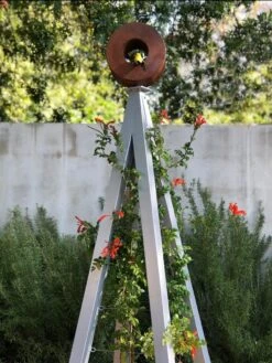 Bird Cafe + Akoris Garden Tuteur Sr. -Garden Supply Store 8600525 07v 1