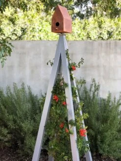 Bird Bungalow + Akoris Garden Tuteur Sr. -Garden Supply Store 8600541 07v