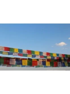 Tibetan Prayer Flags -Garden Supply Store 8600646 01v