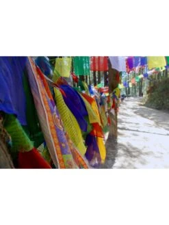 Tibetan Prayer Flags -Garden Supply Store 8600646 02v