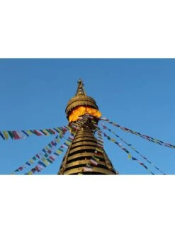 Tibetan Prayer Flags -Garden Supply Store 8600646 04v