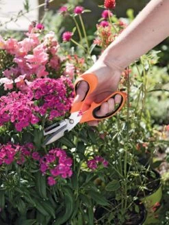 Gardener's Multi Purpose Scissors 8 Gardener's Multi Purpose Scissors -Garden Supply Store 8608655 19551 tif