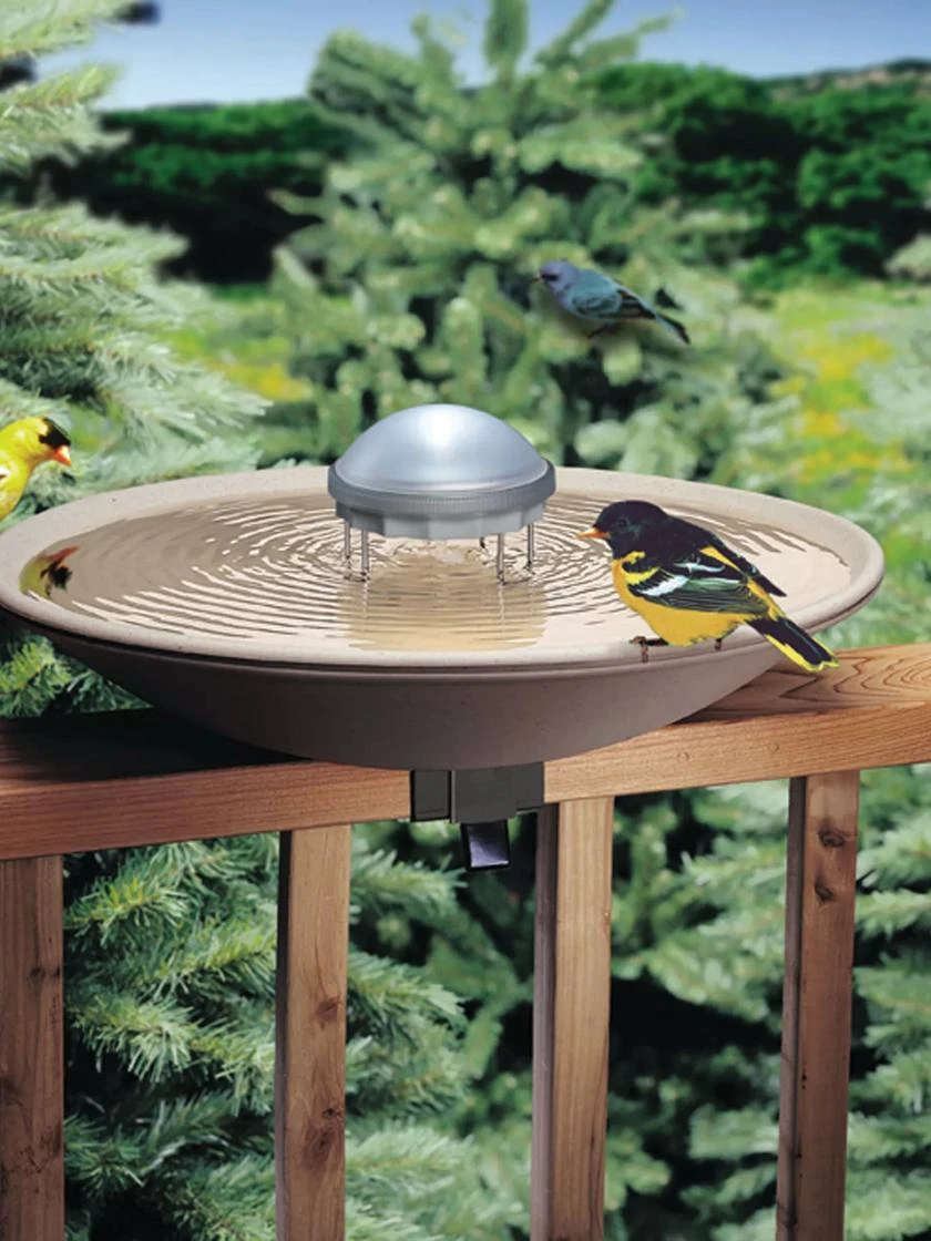 Birds Choice ® Aurora Water Wiggler 3 Birds Choice ® Aurora Water Wiggler
