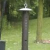 Birds Choice Bear-Proof Feeder -Garden Supply Store 8608764 01v birds choice bear proof metal bird feeder