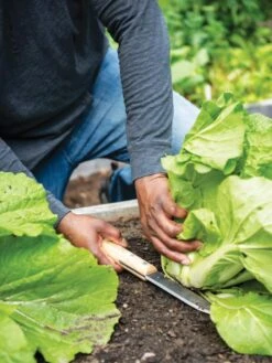 Gardener's Lifetime Hori Hori Knife -Garden Supply Store 8608888 0416 tif