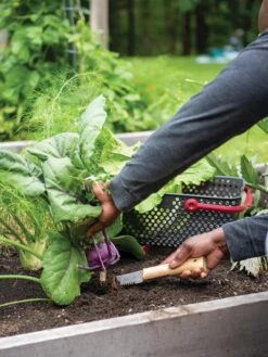 Gardener's Lifetime Hori Hori Knife -Garden Supply Store 8608888 0422 tif