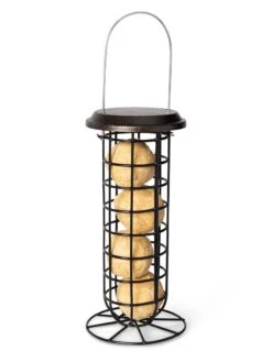 Suet Ball & Feeder Combo Set 9 Suet Ball & Feeder Combo Set -Garden Supply Store 8608919 4427
