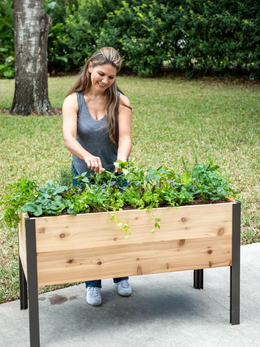 Self-Watering Elevated Planter Box, 2' X 4' 3 Self-Watering Elevated Planter Box, 2' X 4'