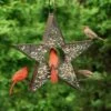 Star Fly-Thruâ„¢ Bird Feeder 1 Star Fly-Thruâ„¢ Bird Feeder -Garden Supply Store 8609057 04v star fly thru bird feeder good directions