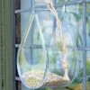 Dewdrop Window Bird Feeder -Garden Supply Store 8609061 02V tif