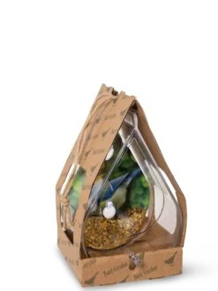 Dewdrop Window Bird Feeder 9 Dewdrop Window Bird Feeder -Garden Supply Store 8609061 4444 tif