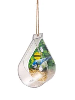 Dewdrop Window Bird Feeder 8 Dewdrop Window Bird Feeder -Garden Supply Store 8609061 4447 tif