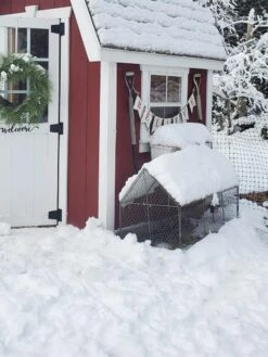 Chicken Wire Crop Coop -Garden Supply Store 8609080 03IN tif