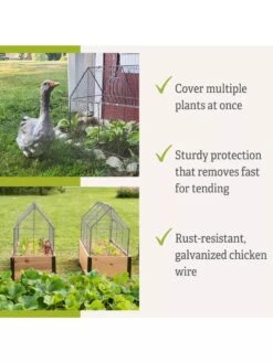 Chicken Wire Crop Coop -Garden Supply Store 8609080 2