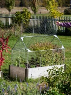 Chicken Wire Crop Coop -Garden Supply Store 8609080 4024