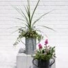 Metal Bucket Planters 1 Metal Bucket Planters -Garden Supply Store 8609086 5623 tif