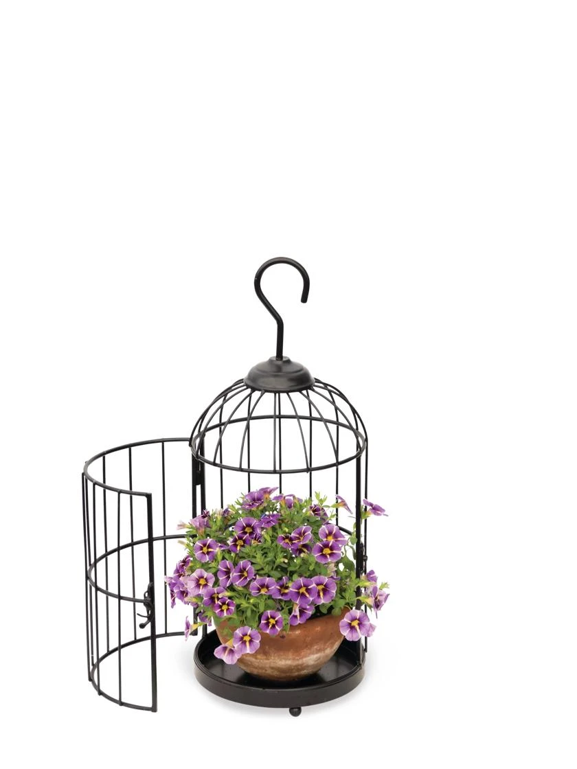 Hanging Birdcage Planter Set 5 Hanging Birdcage Planter Set - Image 3