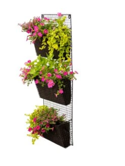 Wire Wall Pockets Vertical Gardens 11 Wire Wall Pockets Vertical Gardens -Garden Supply Store 8609201 0407 tif