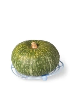 Melon And Squash Cradles, Set Of 6 7 Melon And Squash Cradles, Set Of 6 -Garden Supply Store 8609464 5204 tif