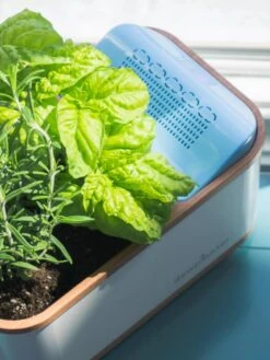 Dewplanter 10 Dewplanter -Garden Supply Store 8609512 04V